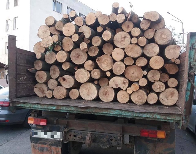 На Мукачівщині поліцейські викрили водія, який нелегально перевозив ліс