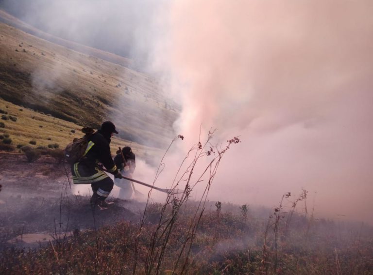 Пожежа на Воловеччині: горіло чотири гектари сухостою (ФОТО)
