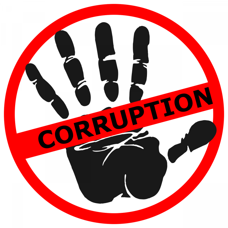 Закарпатські нардепи від "Слуги народу" можуть бути причетні до корупційних схем