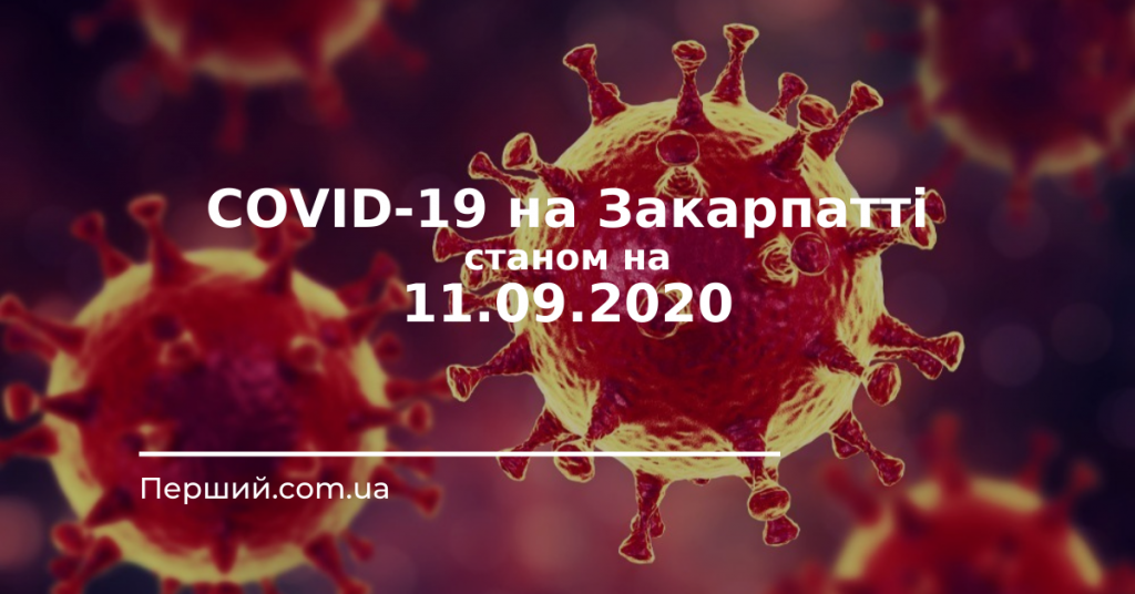 На Закарпатті за добу зафіксовано 94 випадки коронавірусної інфекції