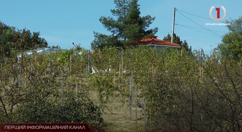 Символ міста: в Ужгороді відкрили виноградну гору (ВІДЕО)
