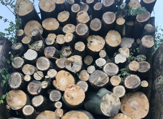 Без документів: на Іршавщині затримали вантажівку з нелегальною деревиною (ФОТО)