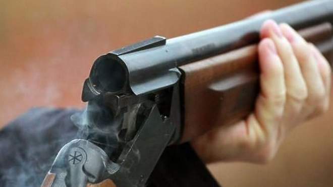 На Одещині чоловік з рушниці розстріляв пів десятка собак: живодером може бути депутат (ФОТО 18+)