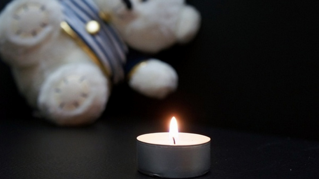 2-річний хлопчик, якого розтерзали собаки, помер у Дніпрі (ФОТО)