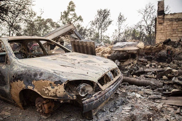 Жахаючі фото наслідків масштабних пожеж на Луганщині (ФОТО)