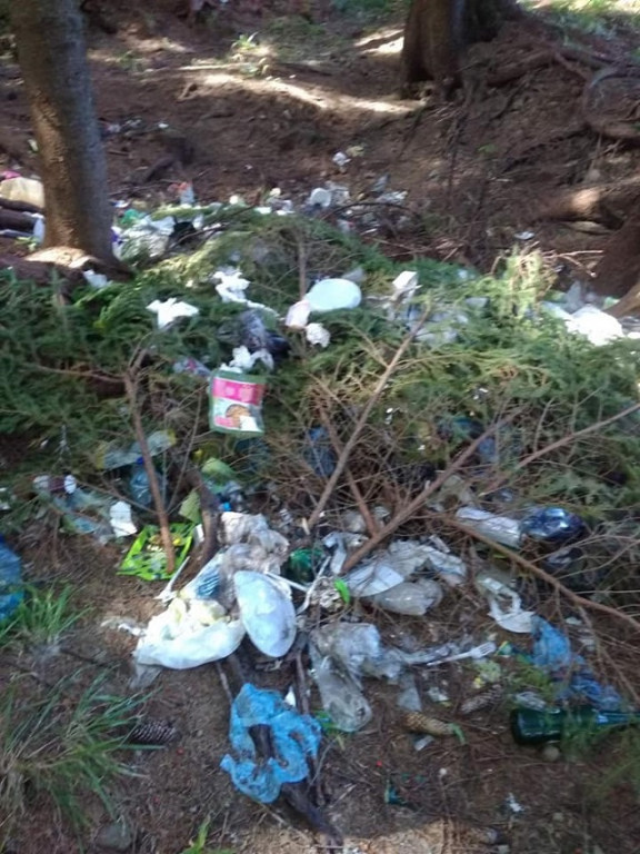 Стихійне сміттєзвалище на Чорній Тисі: люди обурені (ФОТО)