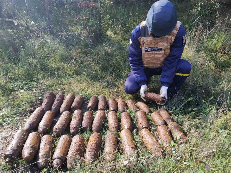 Більше трьох десятків aртснaрядів знaйшов закарпатець у лісі збирaючи гриби (ФОТО)