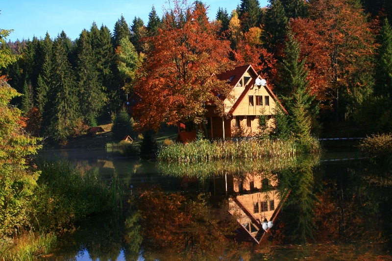 5 гірських інстаграмних готелів на Закарпатті, які варто відвідати цієї осені (ФОТО)