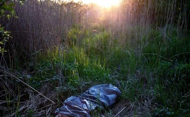 Жахлива знахідка на Мукачівщині: в лісі було виявлено труп чоловіка