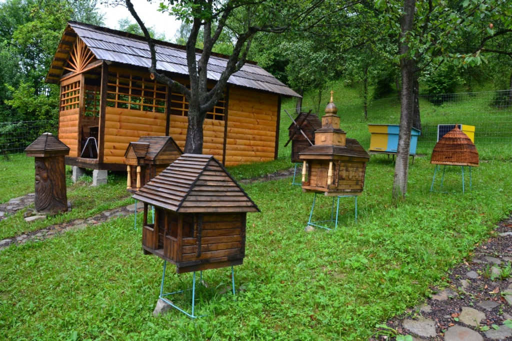 На Міжгірщині відкрили бджолину школу (ФОТО)