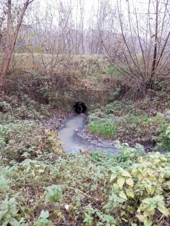 На Тячівщині встановили перевищення норм допустимих скидів стічних вод у річку