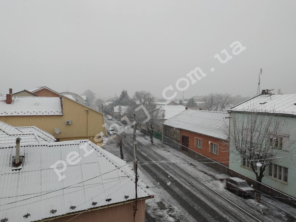 Перший цьогорічний: Ужгород та Мукачево вкрило снігом (ФОТО)