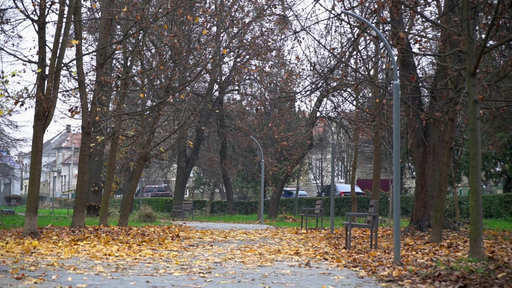 У Мукачеві вандали пошкодили та вирвали металеві опори зовнішнього освітлення в парку (ФОТО)