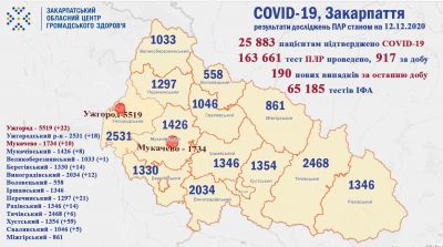 Закарпатя, вірус, коронавірус, смерть, здоров'я, медицина, Covid-19