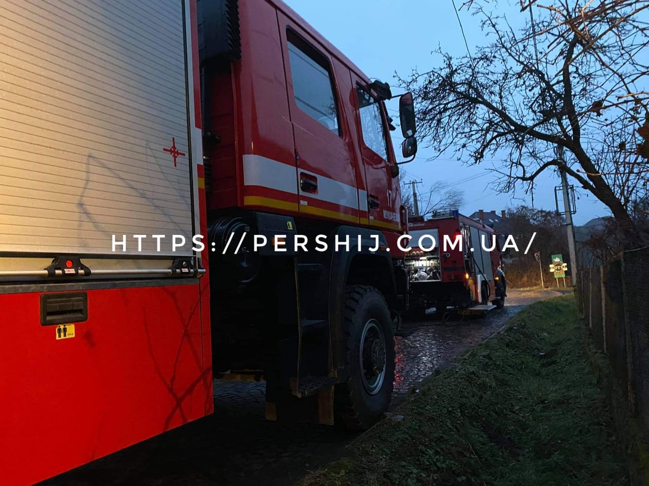 Госпіталізували з отруєнням чадним газом: стали відомі деталі пожежі у Мукачеві (ФОТО)