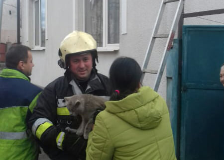 Хустські рятувальники допомогли переляканій тварині (ФОТО)