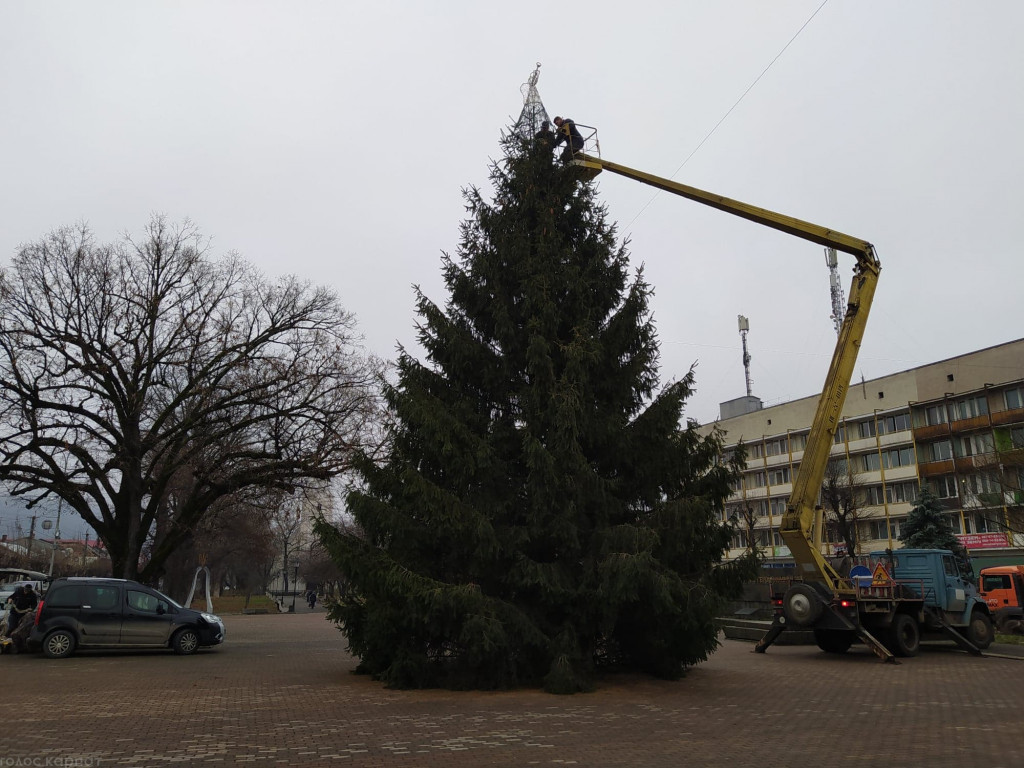 14-метрову новорічну красуню вже почали прикрашати у Виноградові (ФОТО)