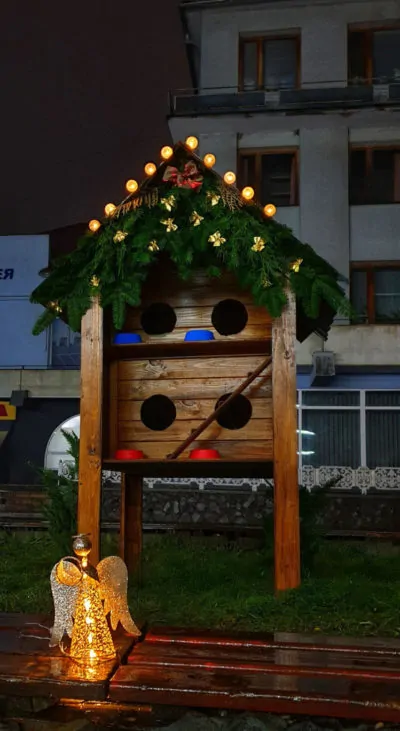 Різдвяна ініціатива: у Мукачеві з'явився будинок для котів (ФОТО)