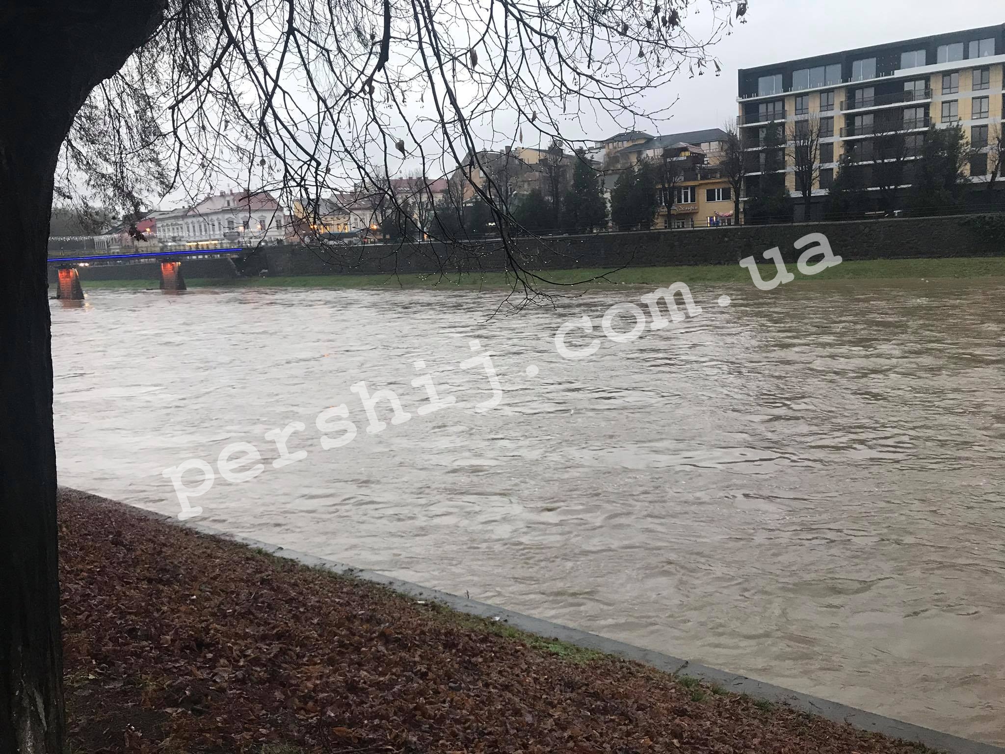 В Ужгороді значно піднявся рівень води на річці Уж: течія принесла купу сміття (ФОТО, ВІДЕО)