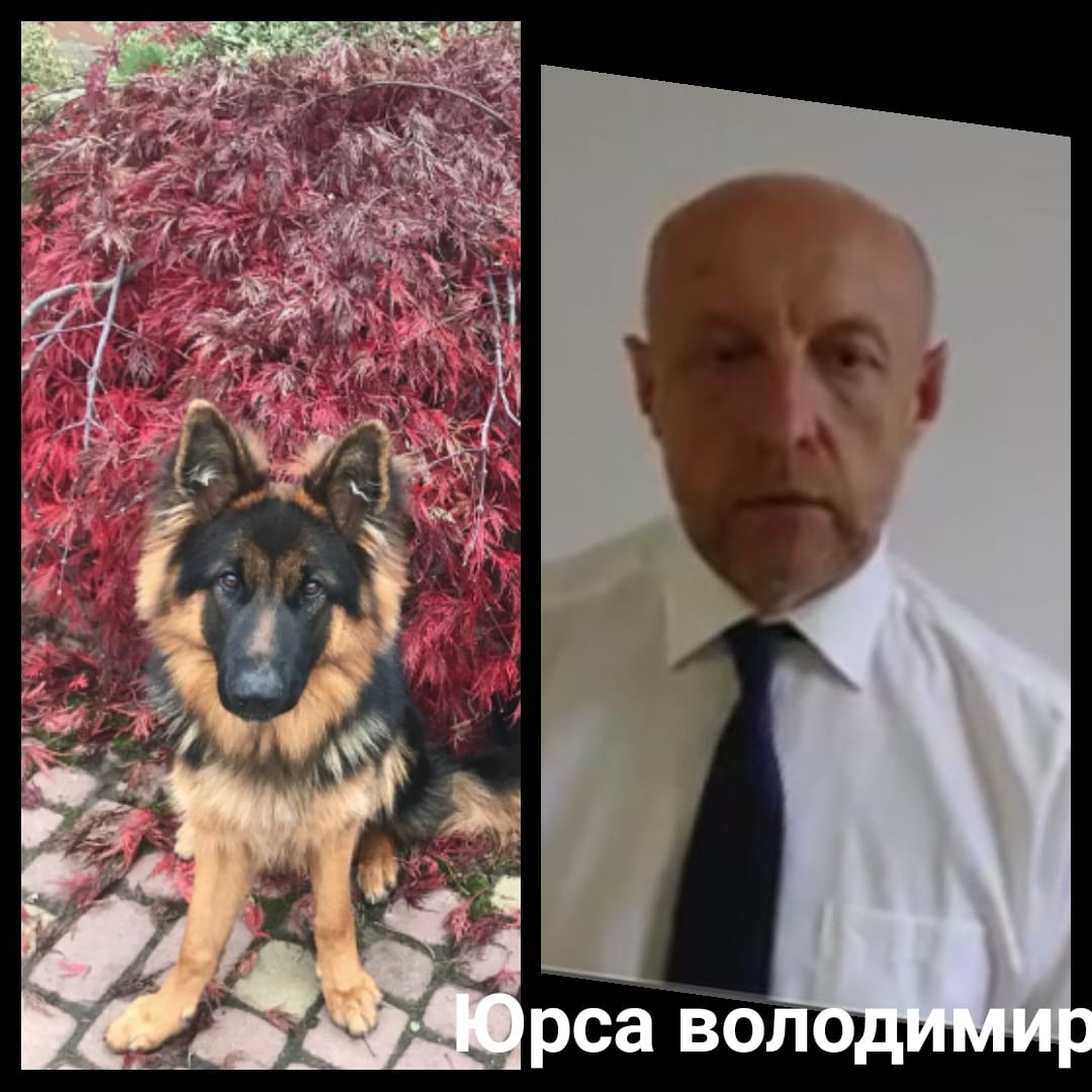 Тварина помирала важкою смерттю: в Ужгороді кандидата в мери підозрюють в отруєнні сусідської собаки (ФОТО)