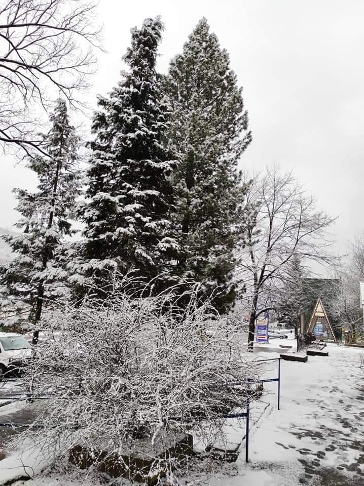 Зимова казка: Свалявщину замело снігом (ФОТО)