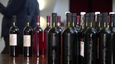 В Мукачеві розпочався конкурс "Червене вино 2021" (ФОТО, ВІДЕО)