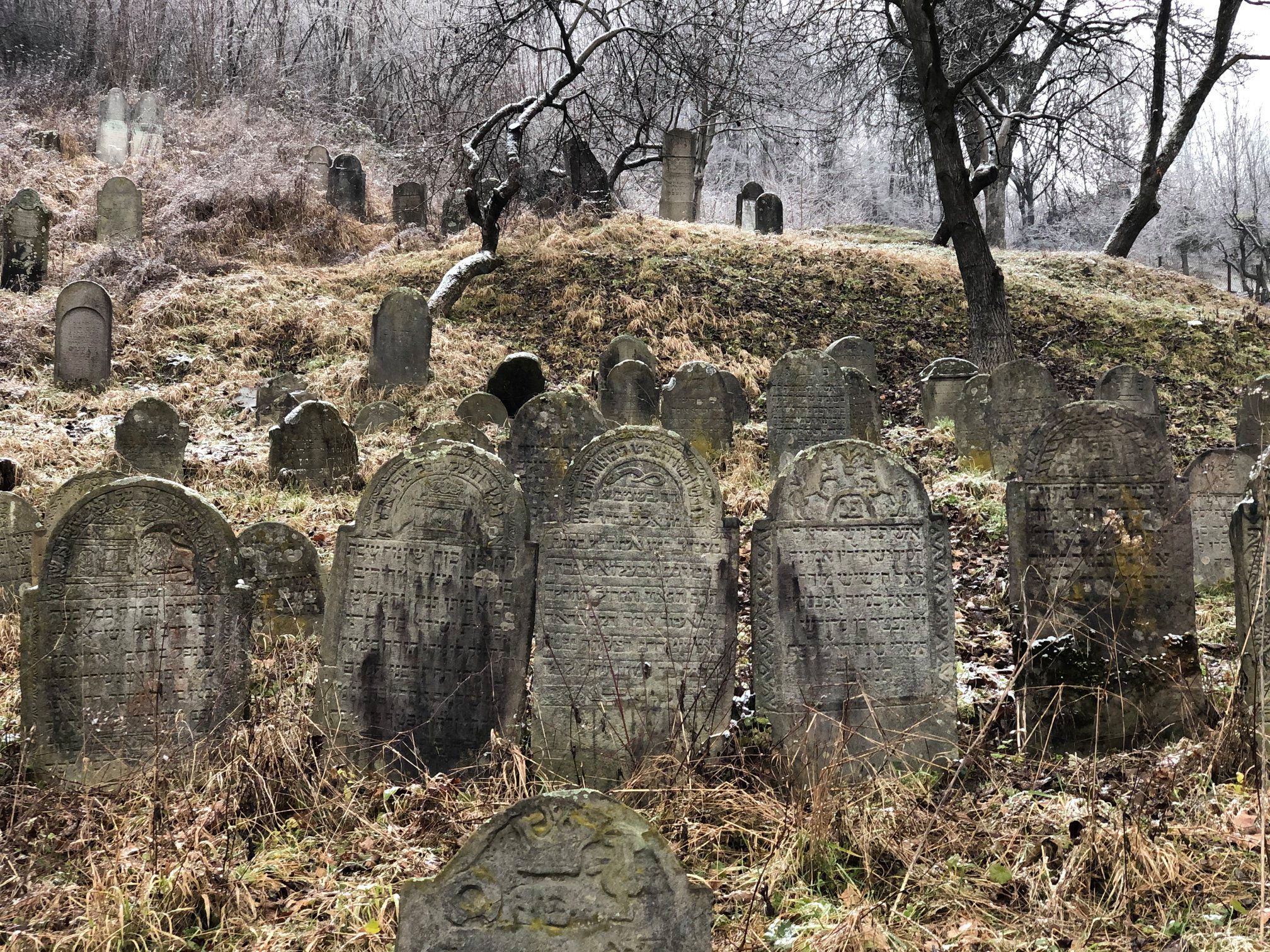 Десятки надгробків просто серед лісу: на Закарпатті виявили закинуте кладовище (ФОТО)