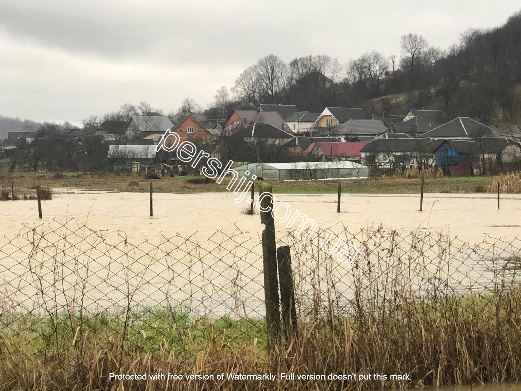 Підтоплення на Іршавщині: вода затопила вулиці та угіддя (ФОТО)