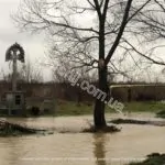 Підтоплення на Іршавщині: вода затопила вулиці та угіддя (ФОТО)