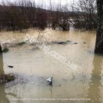 Підтоплення на Іршавщині: вода затопила вулиці та угіддя (ФОТО)