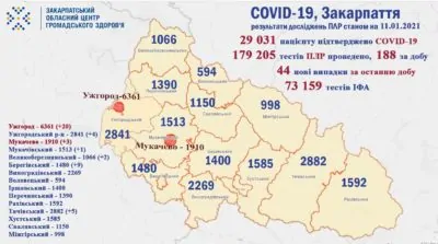 Закарпаття, вірус, коронавірус, смерть, здоров'я, медицина, Covid-19