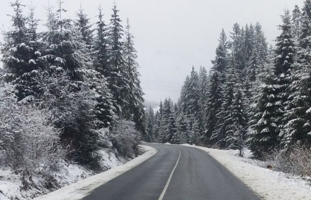 На Закарпатті хмарно, місцями невеликий сніг: прогноз погоди на 17 січня