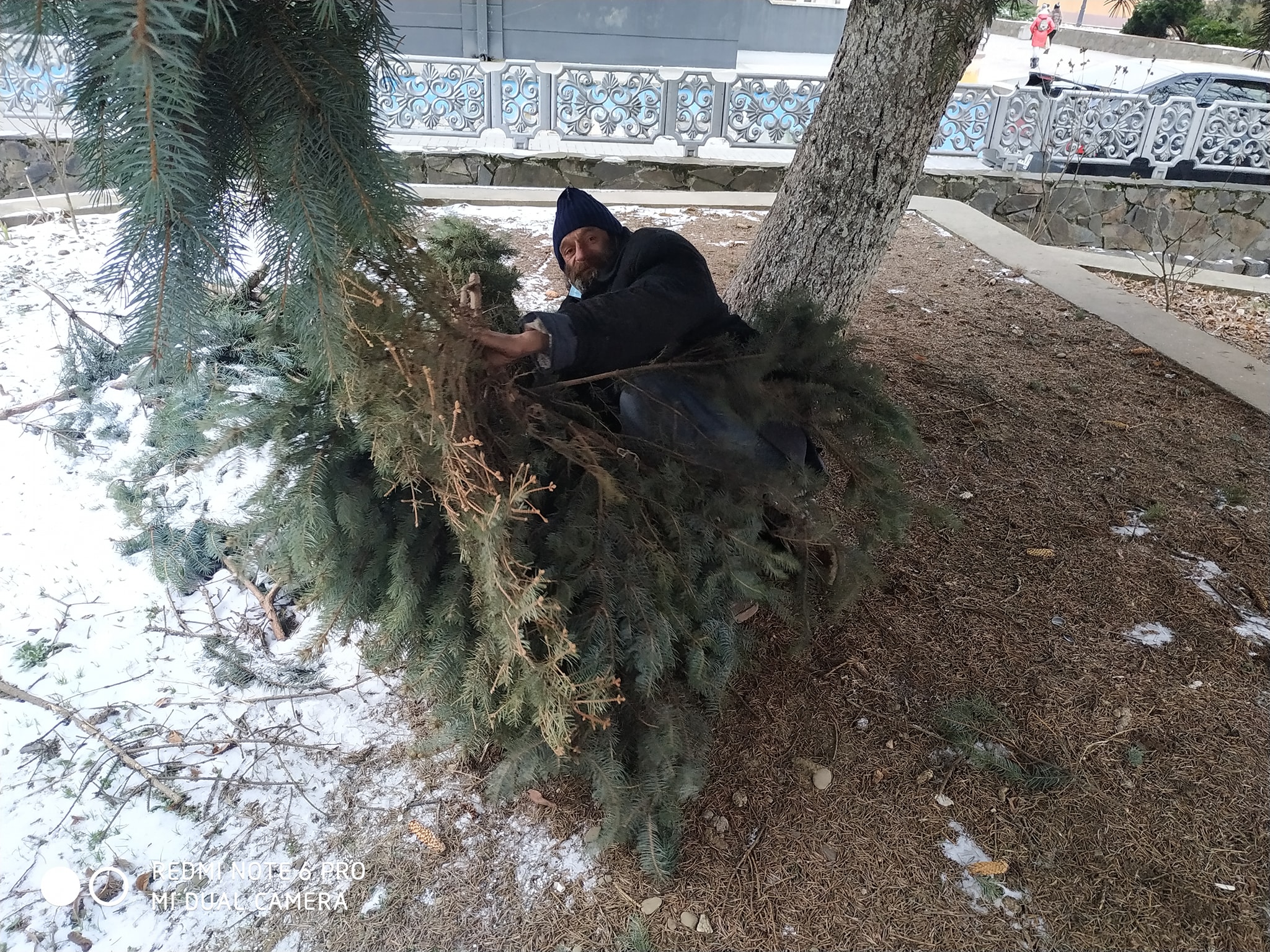 Спав з обмороженими ногами на картоні: у центрі Мукачева просто неба живе чоловік (ФОТО)