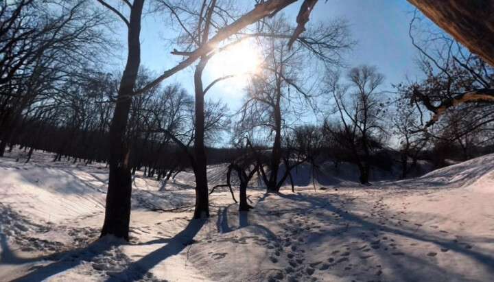 Моторошна знахідка: у Дніпрі чоловік повісився просто на вулиці