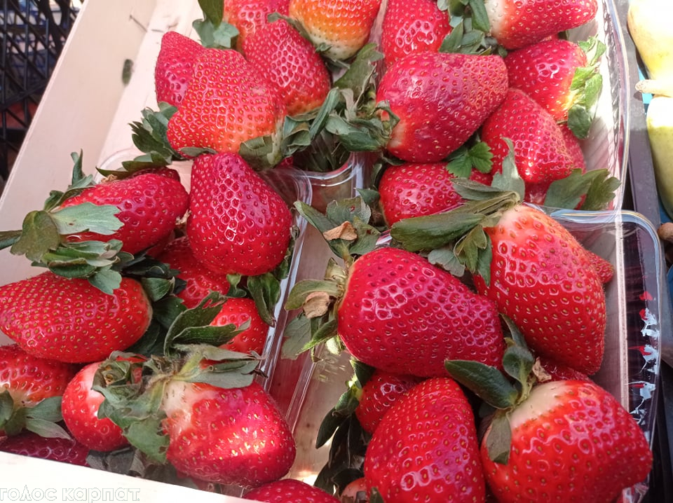 300 гривень за кілограм: на ринку в Мукачеві вже продають першу полуницю (ФОТО)
