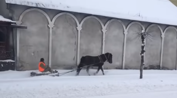 Креативний комунальник запряг коня в санчата для прибирання снігу (ВІДЕО)