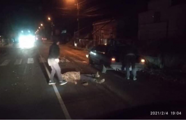 ДТП у Виноградові: автомобіль збив пішохода