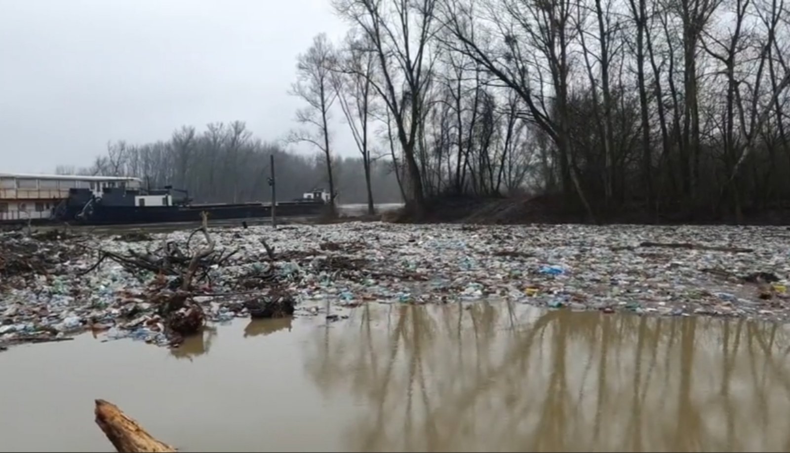 В Угорщині Тису очищують від гір сміття, яке припливло з Закарпаття (ВІДЕО)