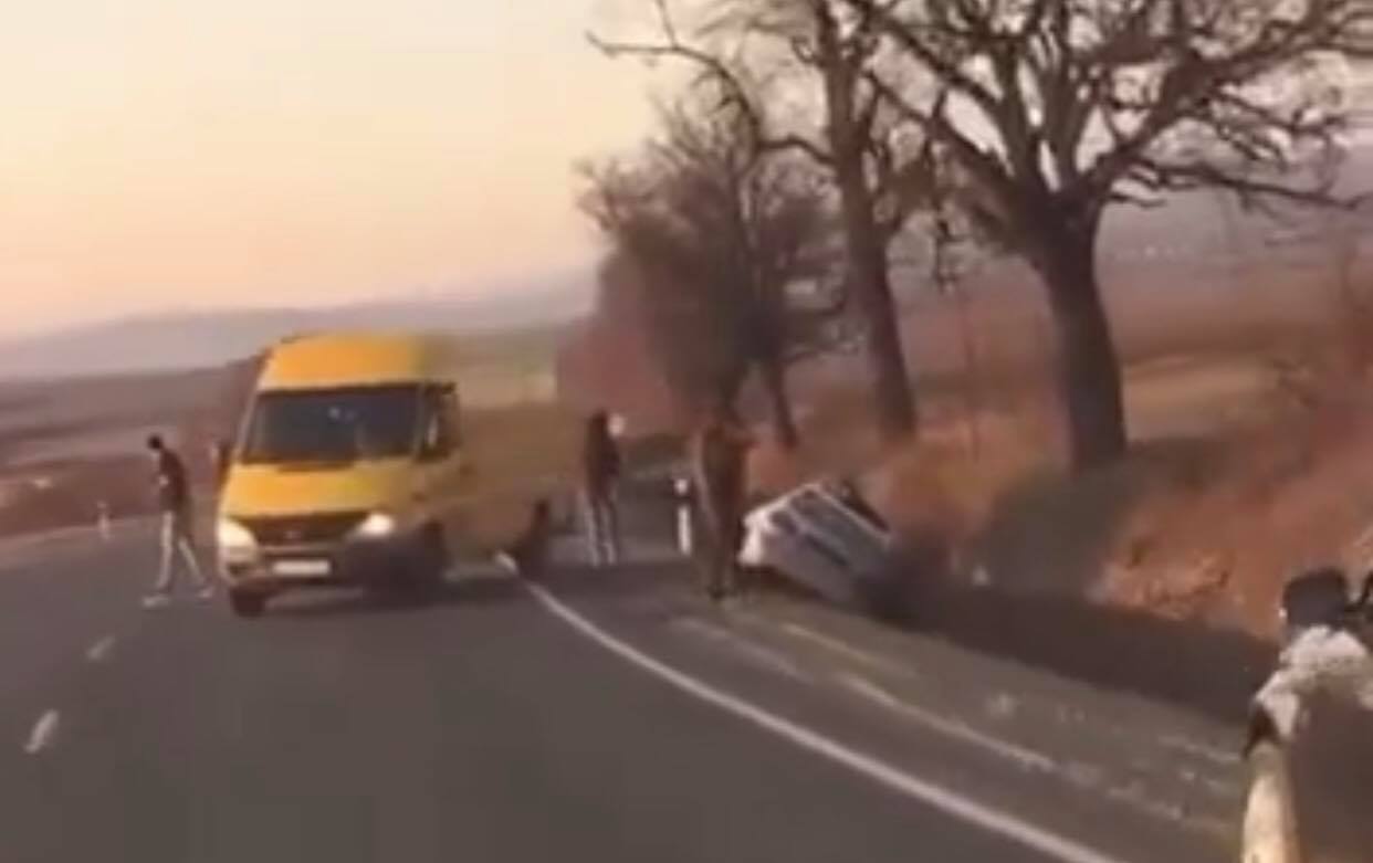 ДТП на Берегівщині: автівка опинилася у кюветі (ВІДЕО)