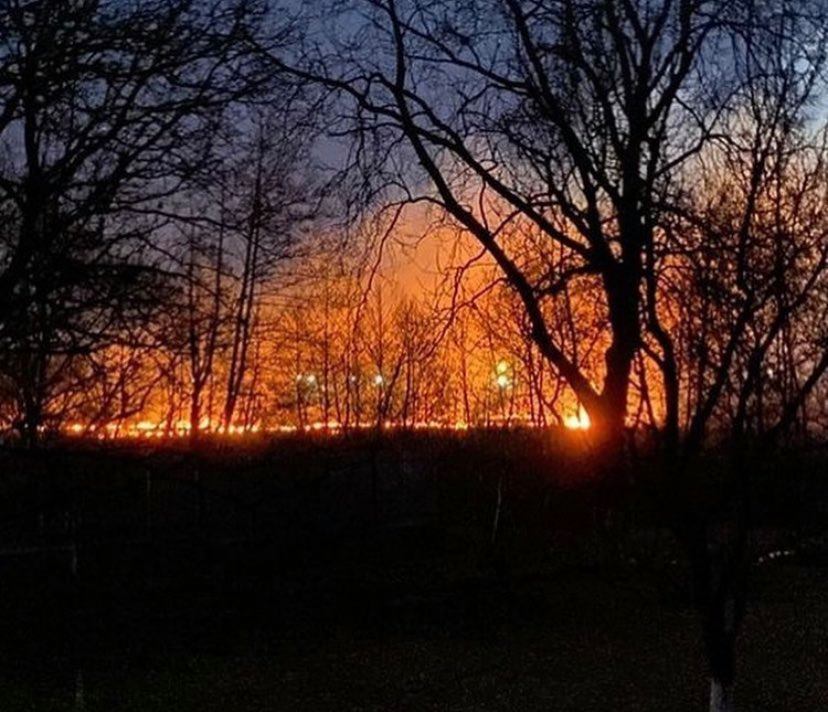 На Іршавщині масштабна пожежа: палає сухостій, вогонь наблизився до будинків (ФОТО, ВІДЕО)