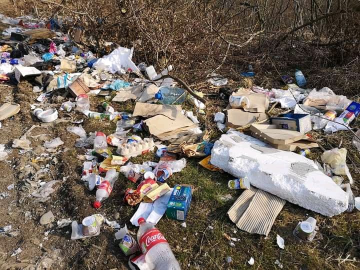 Екоакція на Свалявщині: очищали від сміття берег річки Латориця (ФОТО)