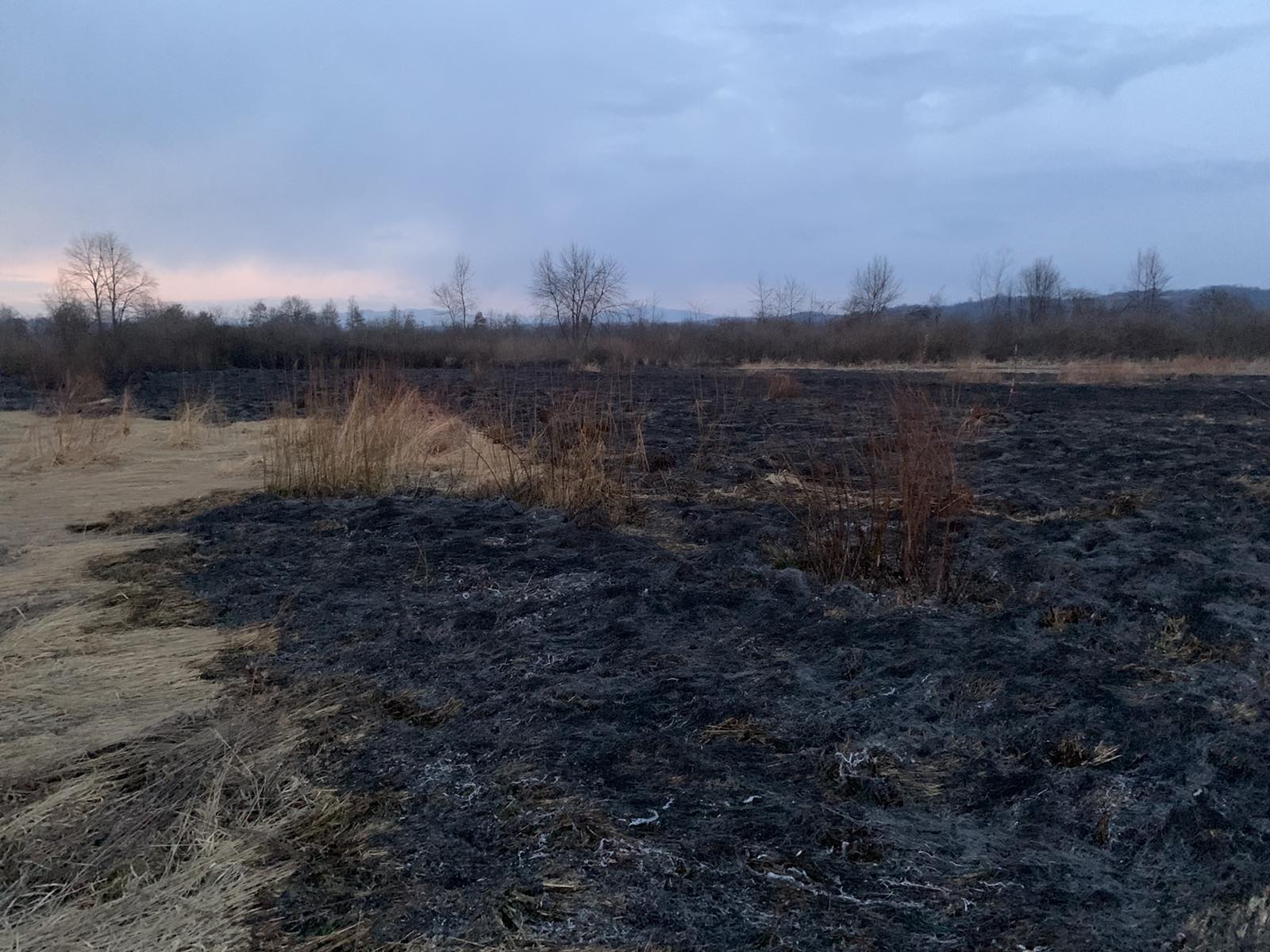 На Хустщині горіла Долина нарцисів (ФОТО)