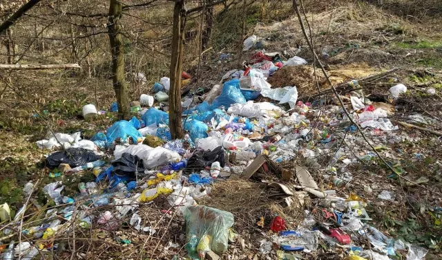 Навесні на Закарпатті разом з первоцвітами з-під снігу з'являється й перше сміття (ФОТО)