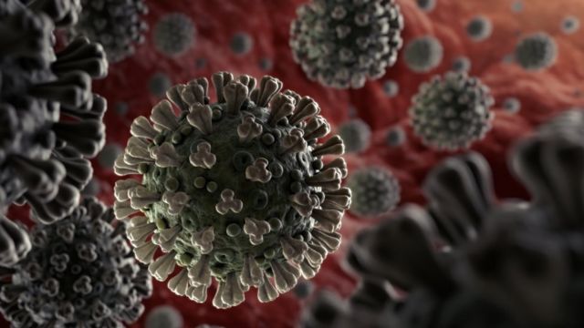 Понад півтора десятка нових смертей від коронавірусу зафіксовано за останню добу на Закарпатті: статистика