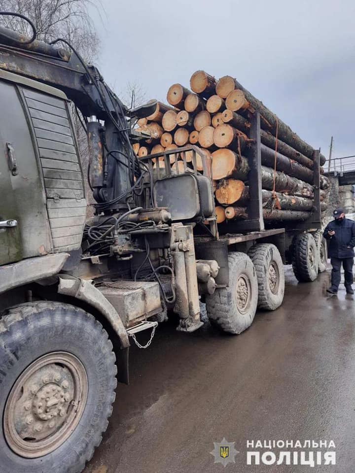 Незаконна вирубка лісу: на Закарпатті поліцейські протидіяти зловмисникам, які наживаються на природних ресурсах краю (ФОТО)