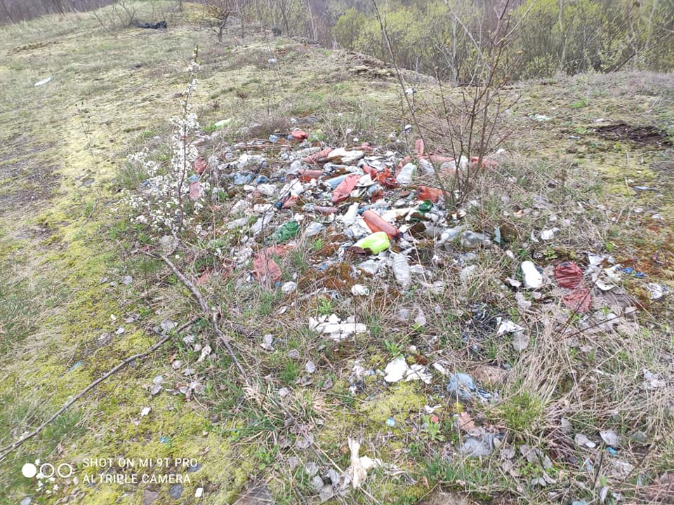 Купи сміття, забруднена водойма: у мережі показали, як на Закарпатті забруднюють ліси та озера (ФОТО, ВІДЕО)