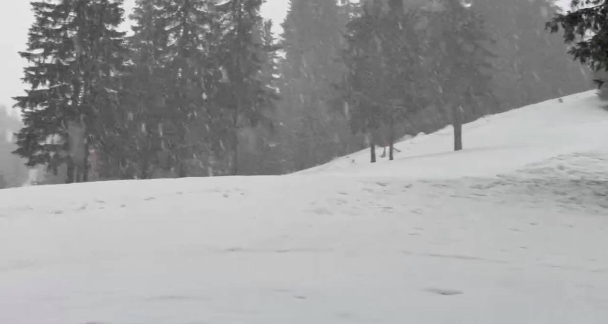 Гірськолижний курорт Драгобрат вкрило снігом (ВІДЕО)