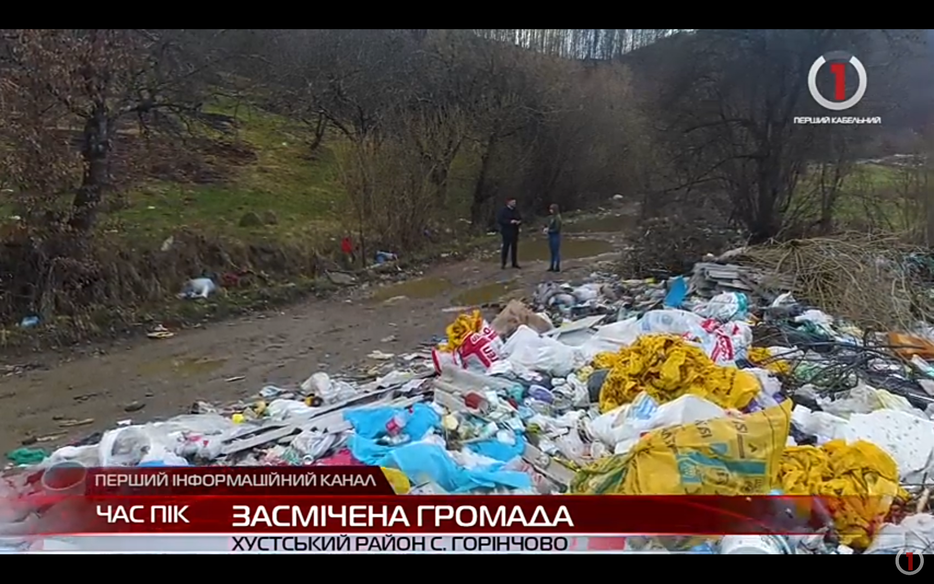 Несанкціоноване сміттєзвалище: в Горінчівській ТГ тони відходів (ВІДЕО)