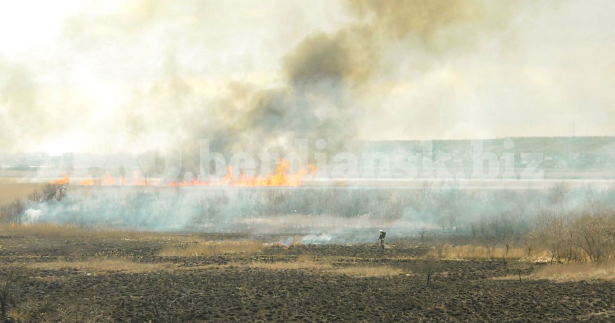 Поблизу Бердянська підлітки спалили гектари заповідної території