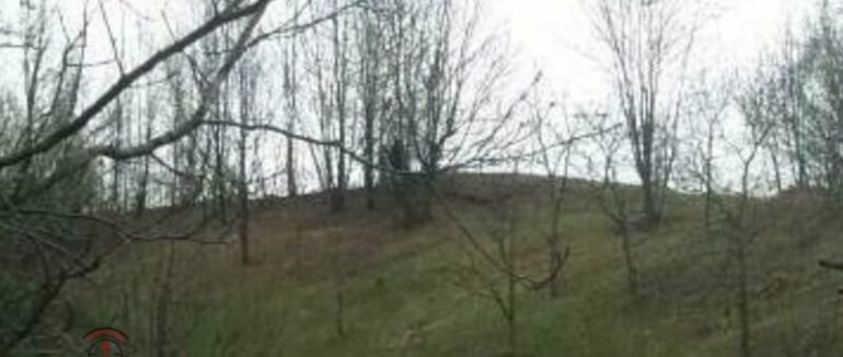 Містика на Закарпатті: в лісі на Тячівщині жителі зафіксували силует невідомої істоти (ФОТО)